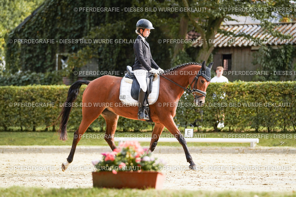 DSC05107 | Pferdegrafie