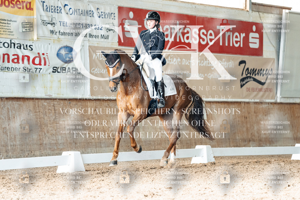 CK903177 | Turnierfotografie Pferdefotografie Trier Rheinland-Pfalz Pferdesport Reitsport Tierfotografie Sportfotografie Pferdevideo Pferdevideografie Equestrianvideography equestrianphotography  - Realisiert mit Pictrs.com