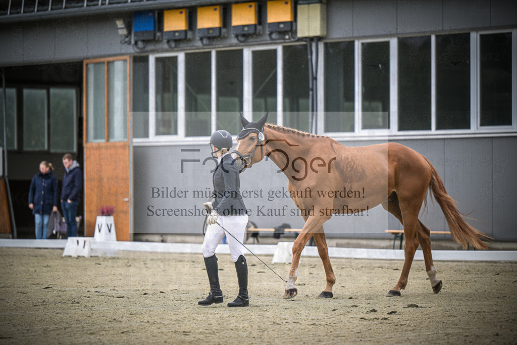 DOS_0553 | Entdecke hochwertige Reitturnierfotos von Foto Oger. Professionell, emotional und authentisch – jetzt Lieblingsmomente im Shop bestellen.Deutschlandweite Turnierfotografie. - Realisiert mit Pictrs.com