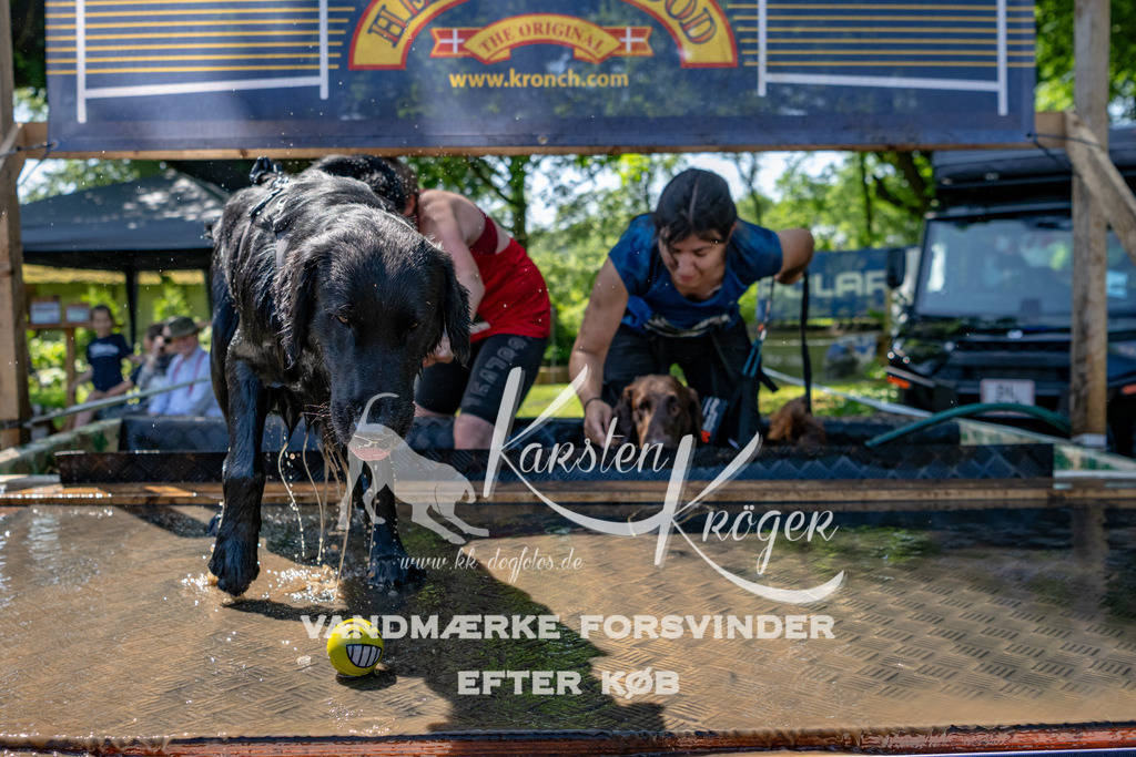 1320_ZZ91301 | kk-dogfotos