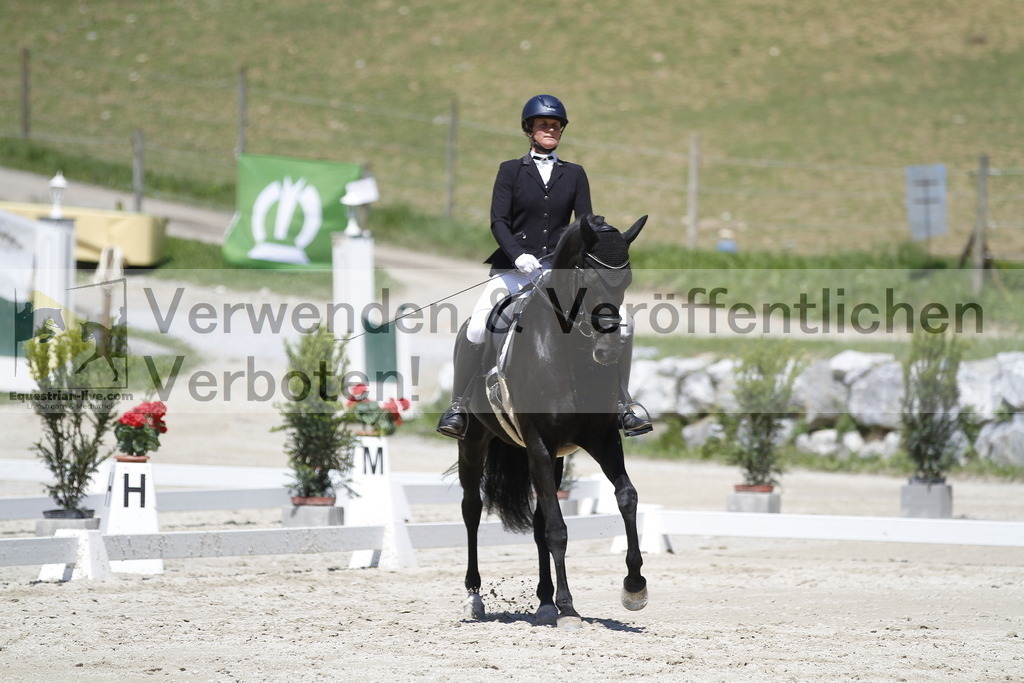 _MG_4677 | equestrian-live-com