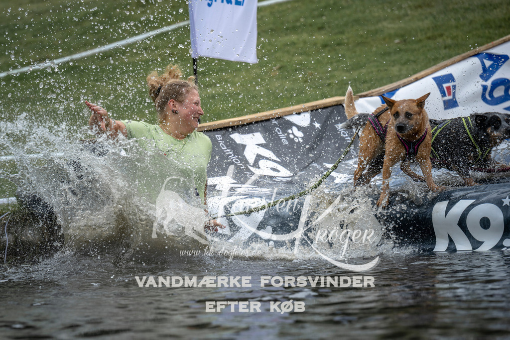 1556_ZZ97024 | kk-dogfotos