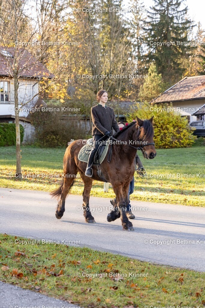 LL24-374 | foto-bettina-krinner - Realisiert mit Pictrs.com