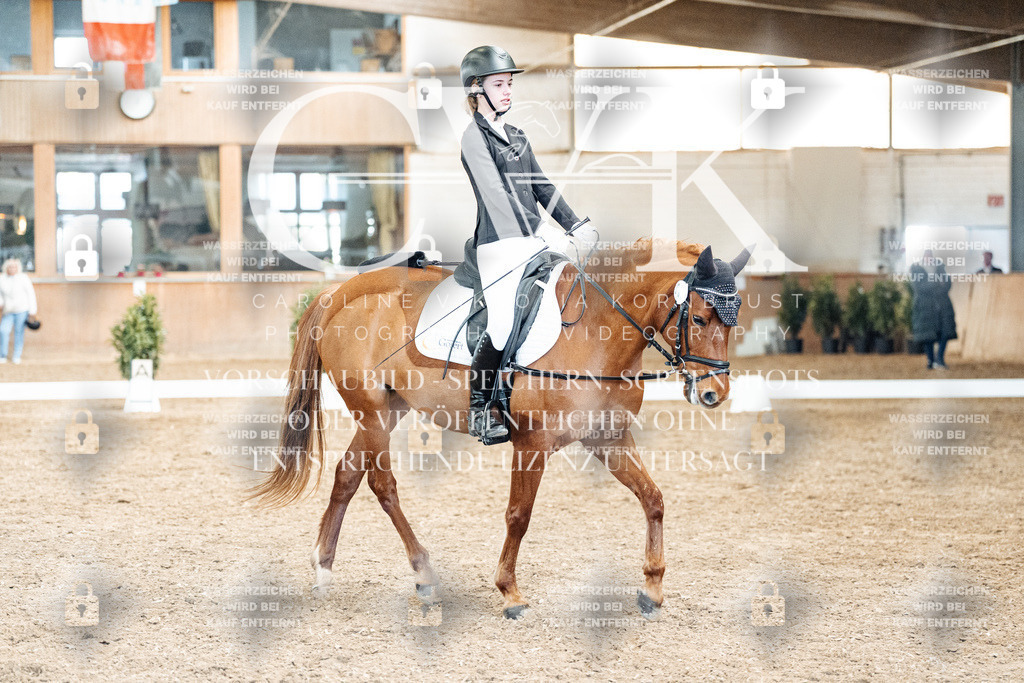 CK900625 | Turnierfotografie Pferdefotografie Trier Rheinland-Pfalz Pferdesport Reitsport Tierfotografie Sportfotografie Pferdevideo Pferdevideografie Equestrianvideography equestrianphotography  - Realized with Pictrs.com