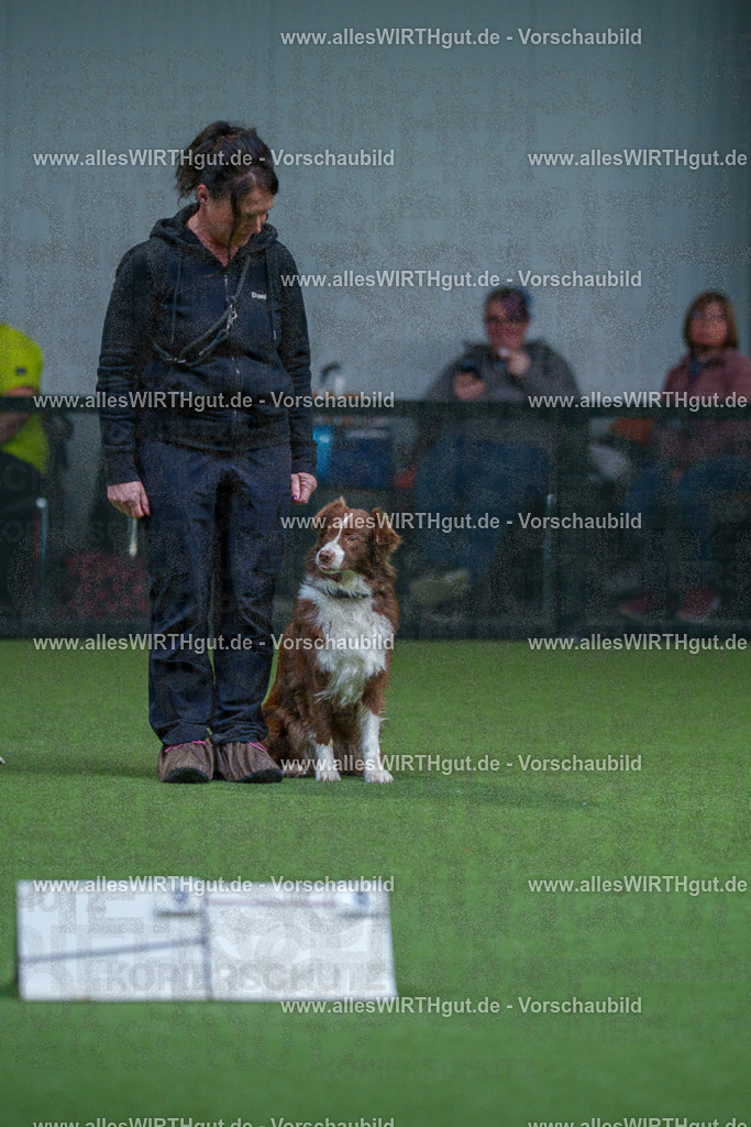 7R501707 | Professionelle Tierfotografie in Mönchengladbach von Daniel Wirth (allesWIRTHgut). Liebevolle & natürliche Bilder von Hunden & Katzen für unvergessliche Erinnerungen.