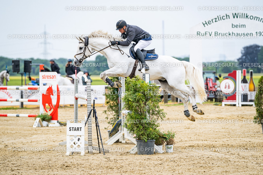 DSC08306 | Pferdegrafie