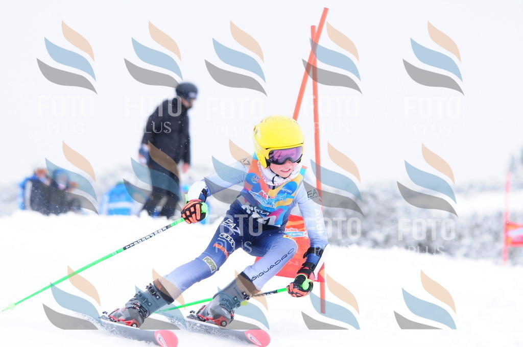 C3955 | holidayphoto