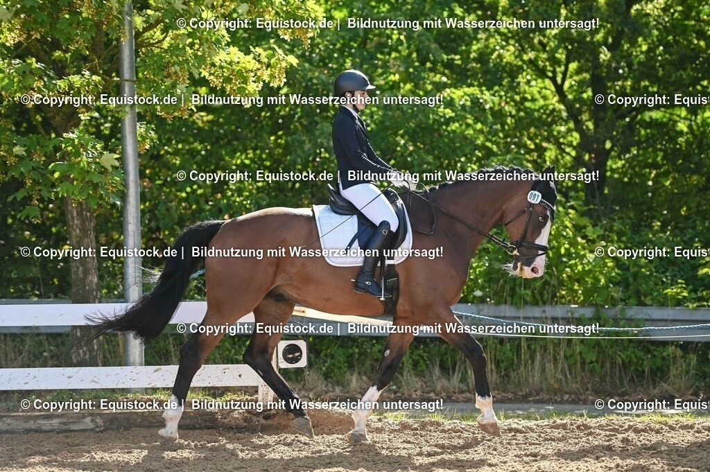 20230716_04_Dressurreiterprüfung Kl.A_0141 | equistock