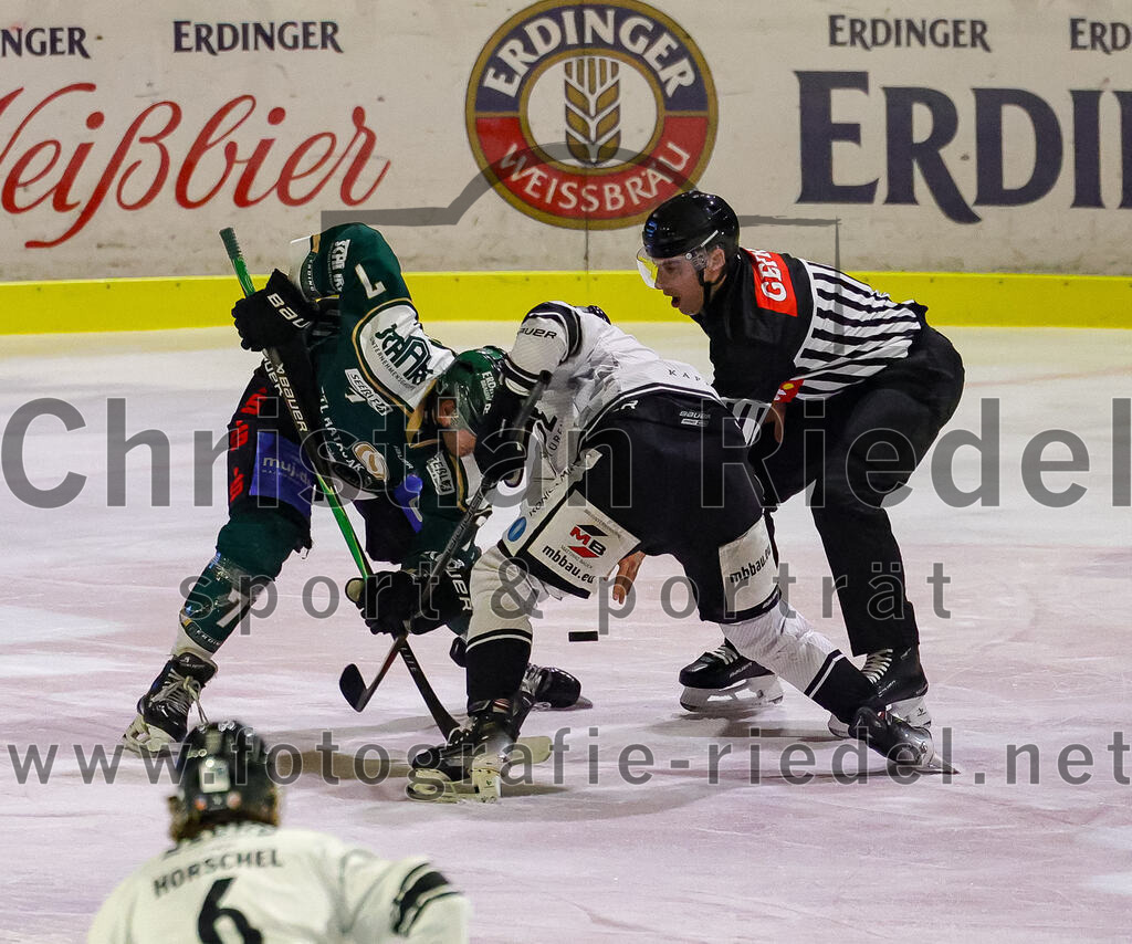 2026-01-30_032_TSV_Erding_gegen_EHF_Passau_Black_Hawks | Erding, Deutschland, 30.01.2026:Eishockey, Oberliga Süd 2025 / 2026, 42. Spieltag, TSV Erding gegen EHF Passau Black Hawks, Endergebnis: 2:6Louis Trattner (Erding Gladiators, #7), Björn Salhi (Erding Gladiators, #13)Foto: Christian Riedel / fotografie-riedel.net