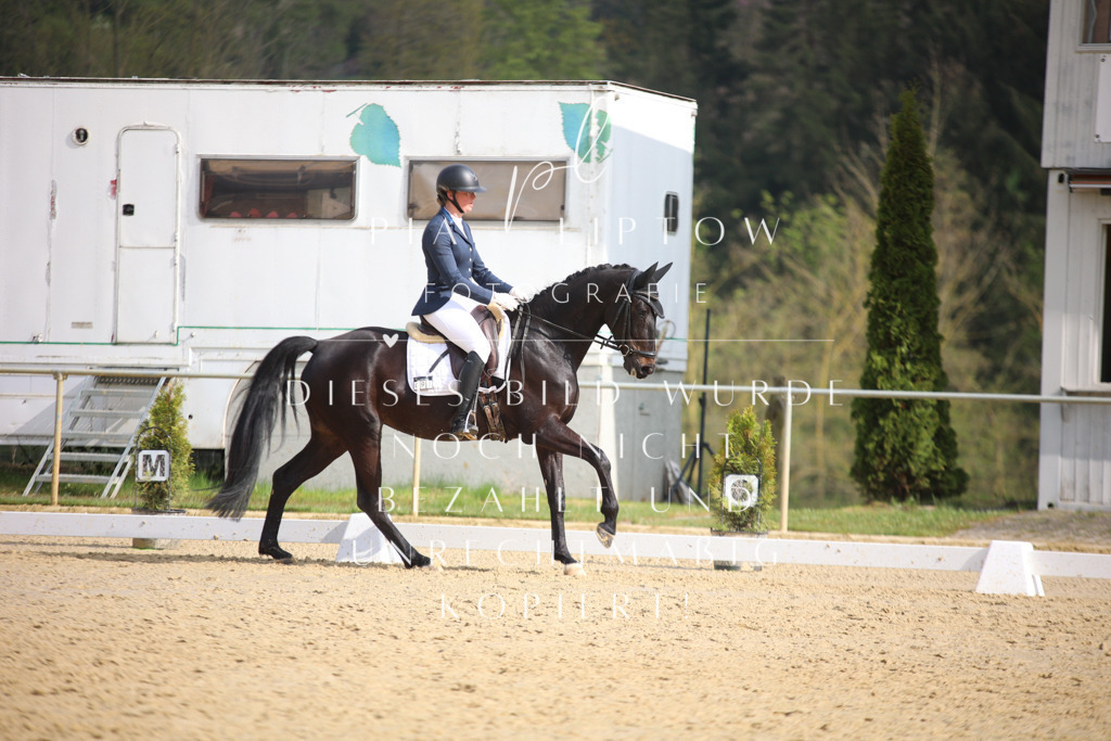 IMGT6289 | pl-fotografie