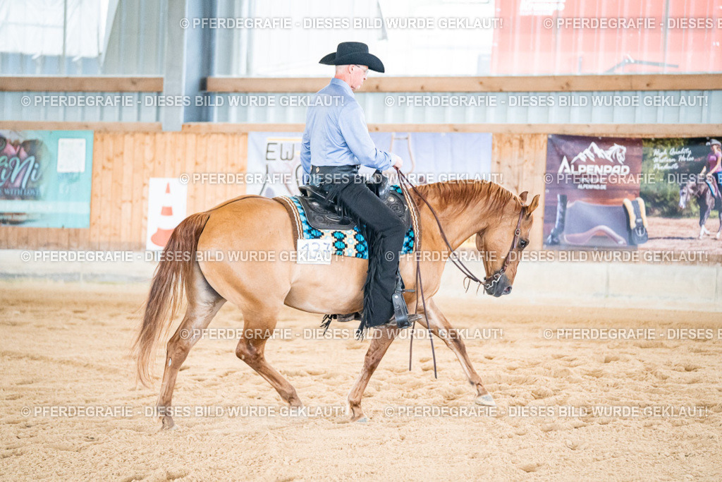 DSC01831 | Pferdegrafie