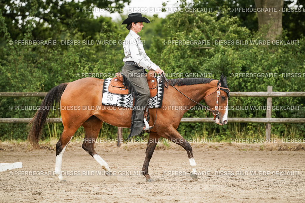 DSC08567 | Pferdegrafie