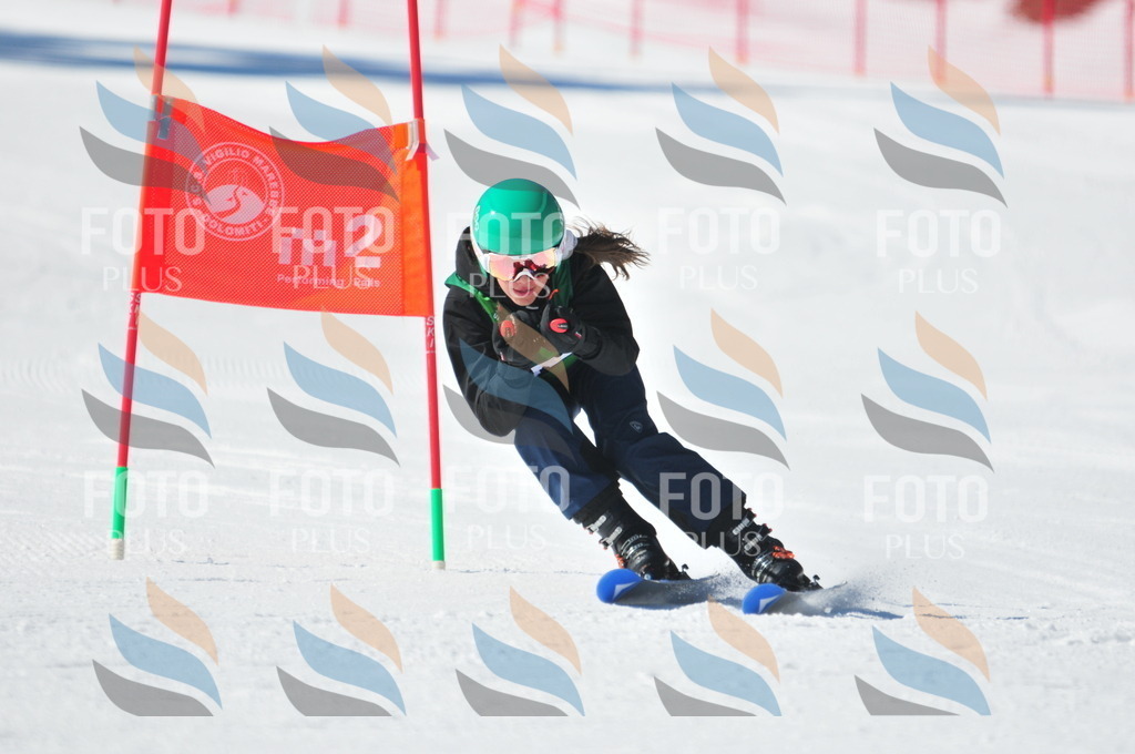 C3739 | holidayphoto