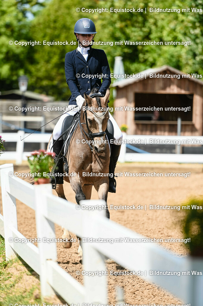 20230716_01_Dressurprüfung Kl.M_0213 | equistock