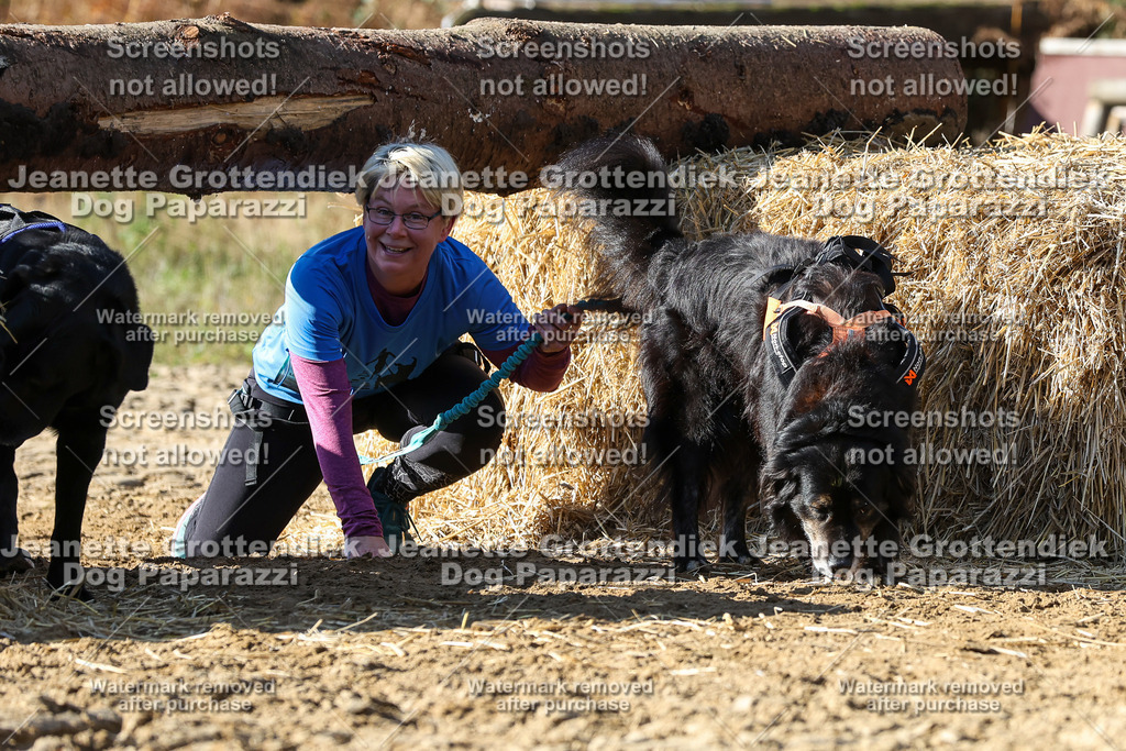 Dog Paparazzi - Strongdog 10-25-4793 | Dog Paparazzi Jeanette Grottendiek Fotografie & Videografie - Realisiert mit Pictrs.com