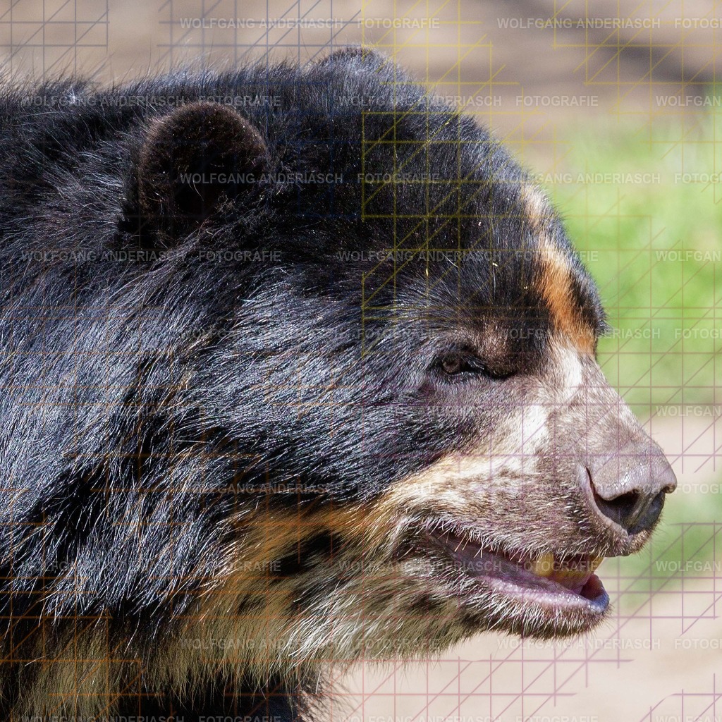 2026414-124407Zoo_Frankfurt100L0775_finish | Im Zoo Frankfurt zeigt sich genau das: kleine Momente, echte Begegnungen, ungefilterte Emotion. - Realisiert mit Pictrs.com