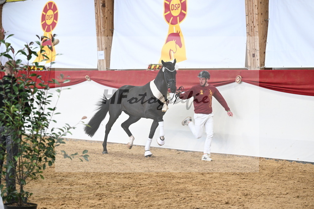 Kat.-Nr. 57 v. Feliciano_Vavrikova_3265598 | hf-fotografie - Realizzato con Pictrs.com