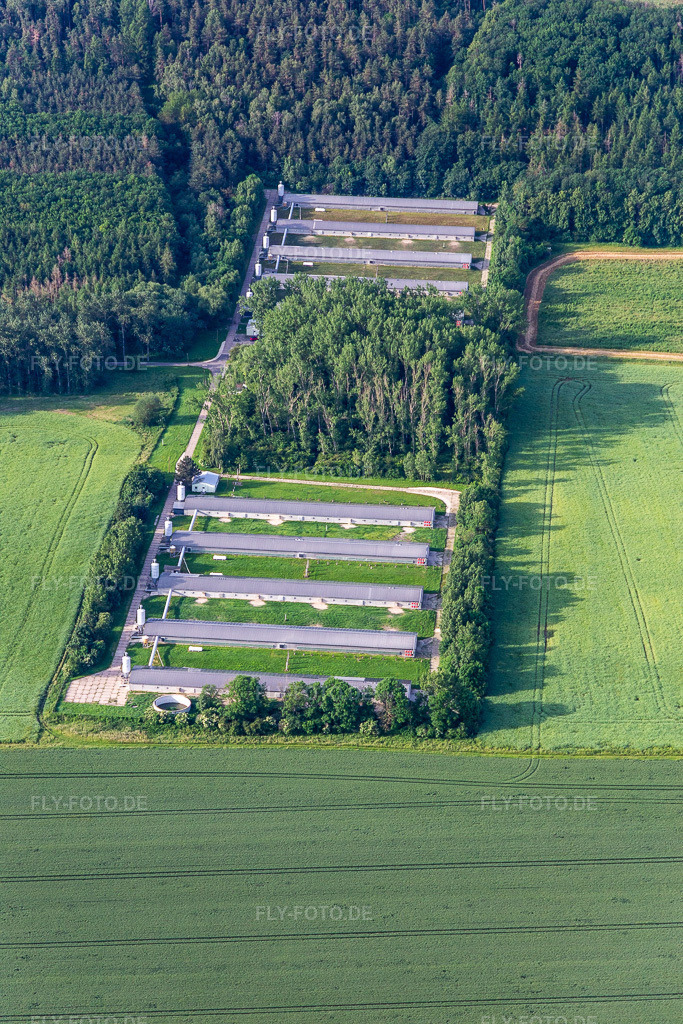 Luftbild: CAE Geflügel GmbH - Roman Striegnitz im Ortsteil Wechmar in Drei Gleichen im Bundesland Thüringen in Deutschland. Foto: IMG_007668.jpg vom 15.06.2021 durch Werner Riehm/FLY-FOTO.de