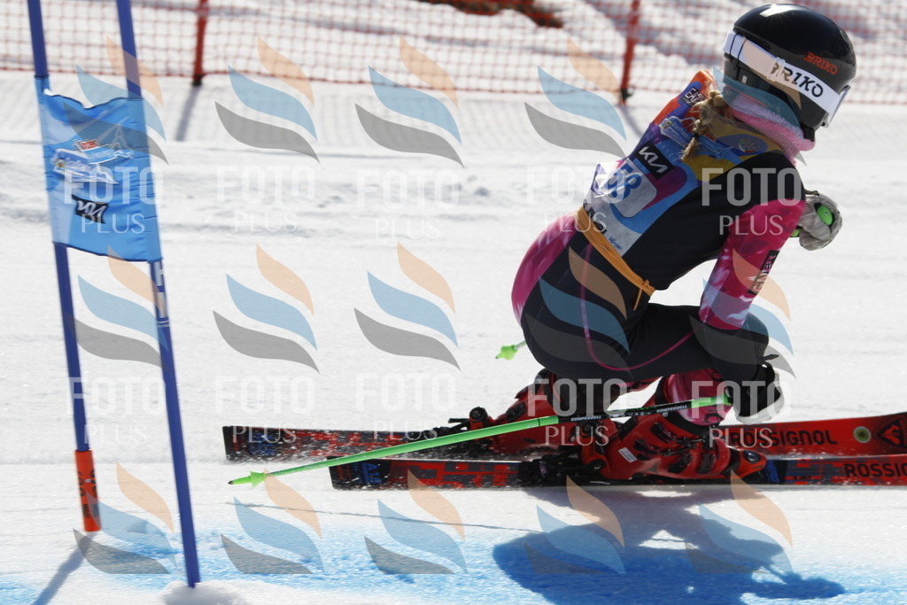 _U3G9575 | holidayphoto