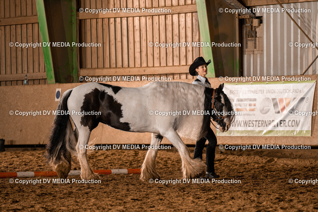 BAL01281 | dv-media-shop - Realisiert mit Pictrs.com