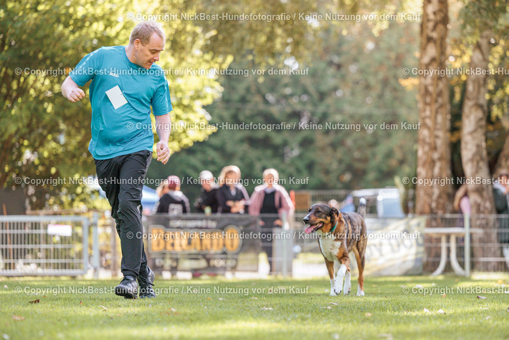 THS-HSV-Blumenthal-2026-Nickbest-Hundefotografie-3981 | Dein Hund! Dein Moment! Deine Erinnerungen! Hundefotografie in Bremen Blumenthal. Ich fange die besonderen Momente deines Vierbeiners ein – ob Indoor mit Blitzanlage oder in der freien Natur. Sicher dir dein Moment und dein Termin für eure Erinnerungen.