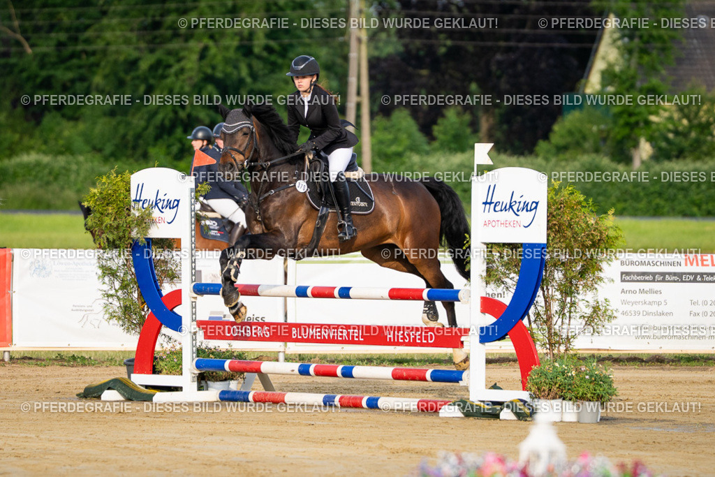 DSC01807 | Pferdegrafie