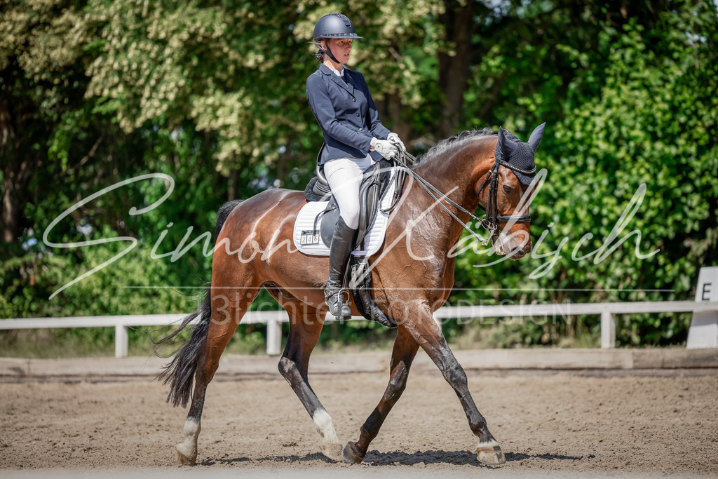 20250621-_3LI8695 | Tierfotografie Pferde, Hunde, Katzen, Haustiere.
Turnierfotografie Reitturniere, Reiten, Springreiten, Dressur in Hanau, dem Main-Kinzig-Kreis und dem Rhein-Main- Gebiet um Frankfurt