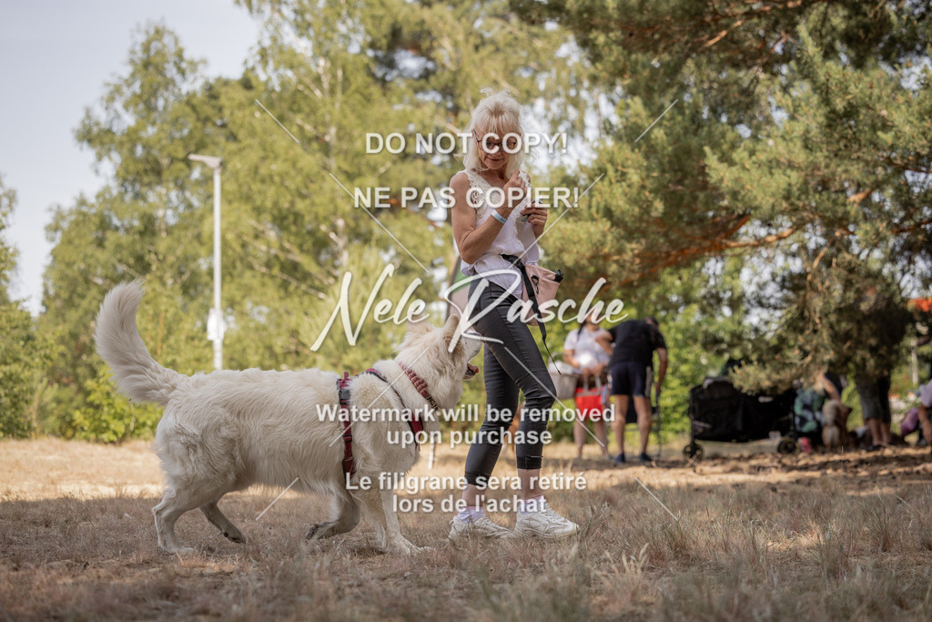 nelerasche_soDD2_212 | nelerasche