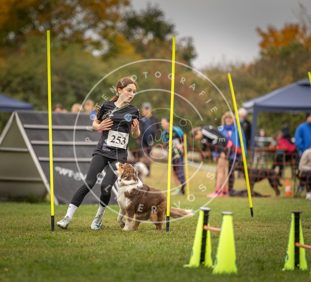 Pfotenfotografie_DV3A6506 | Hundefotografie, Tierfotograf, Pfotenfotografie, Fotoshooting Hund, Hunde Portrait, Hundesport, Hundeportraits, Heideshooting, Hunde, Sportfotograf, Hundefotograf, Turnierhundsport, THS,  - Realisiert mit Pictrs.com