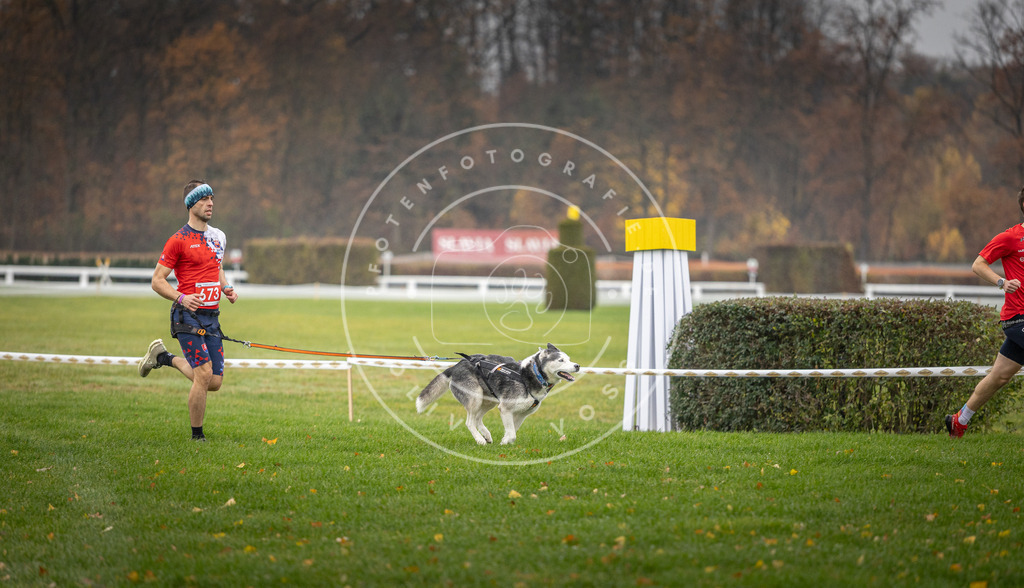 CaniXpix_DV3A9526 | Hundefotografie, Tierfotograf, Pfotenfotografie, Fotoshooting Hund, Hunde Portrait, Hundesport, Hundeportraits, Heideshooting, Hunde, Sportfotograf, Hundefotograf, Turnierhundsport, THS,  - Realisiert mit Pictrs.com