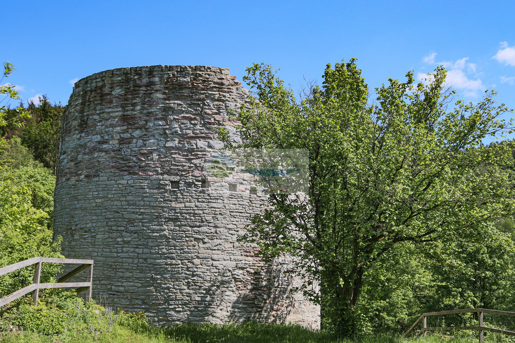 Burgruine Nordeck Frühling | Impressionen rund um Hochfranken - Frankenwald - Fichtelgebirge - Realisiert mit Pictrs.com