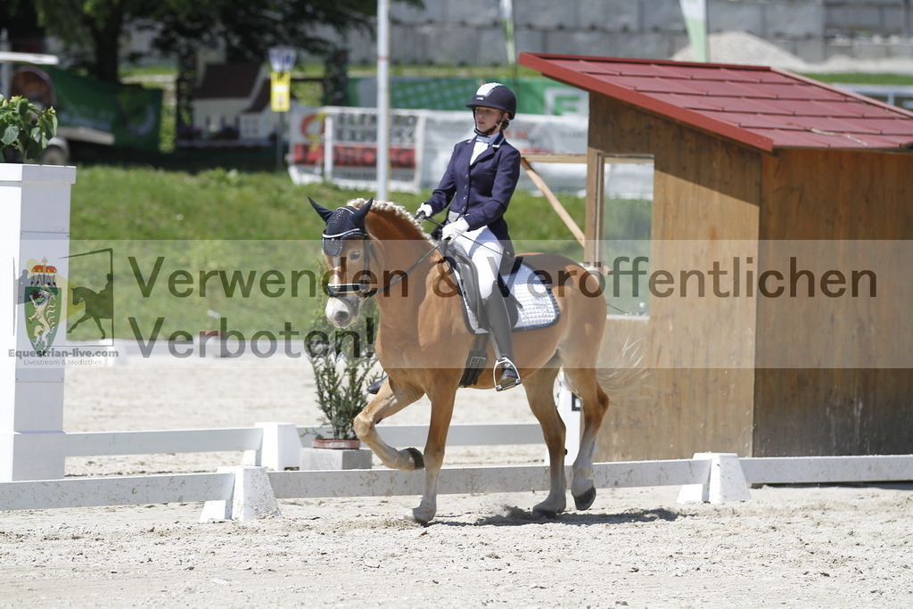 _MG_5182 | equestrian-live-com