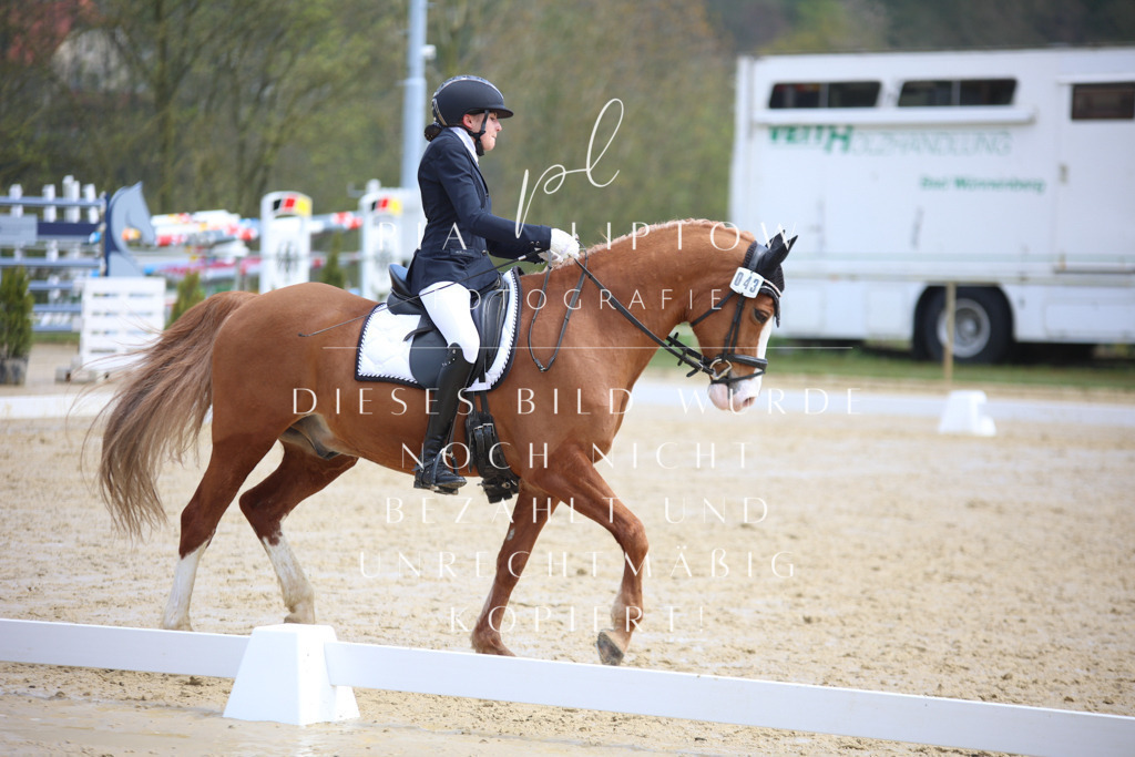 IMGT4133 | pl-fotografie