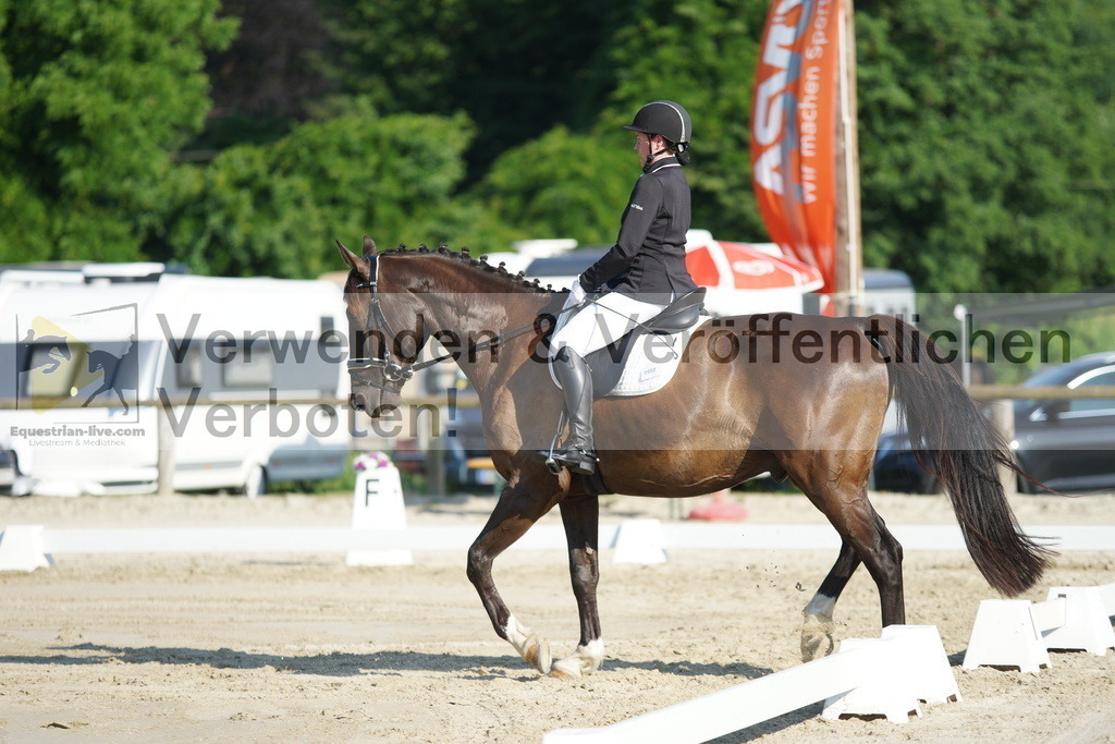 DSC04147 | equestrian-live-com