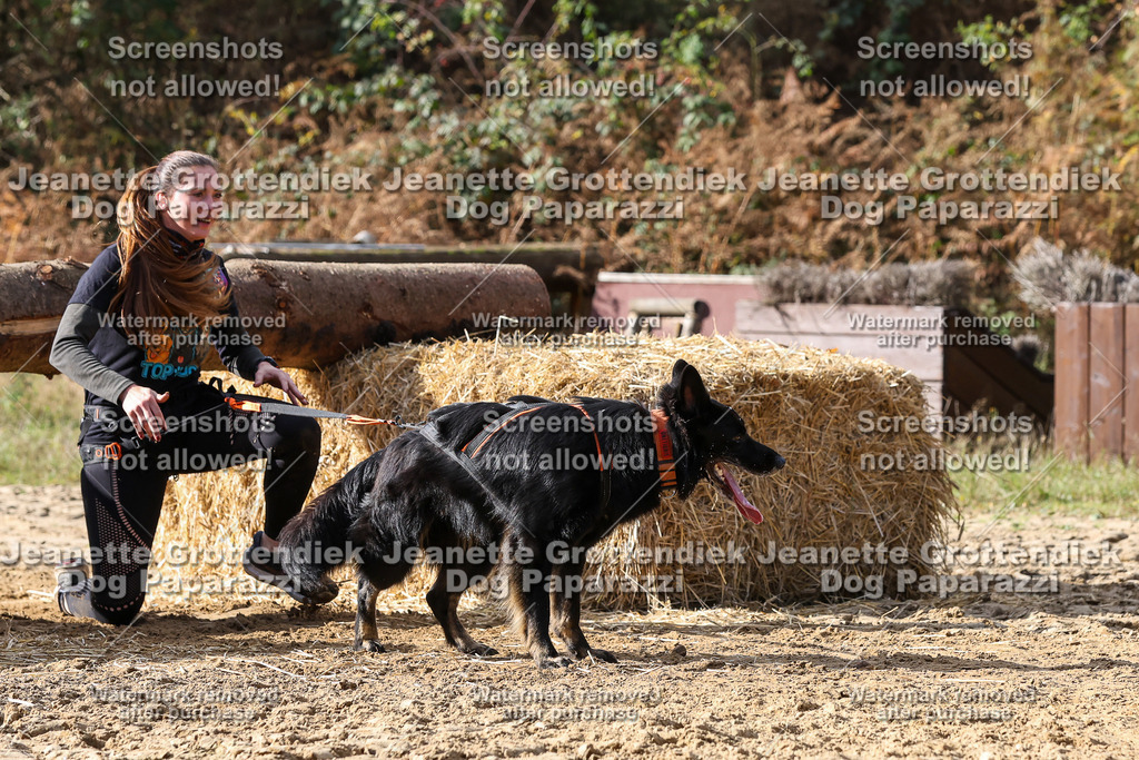 Dog Paparazzi - Strongdog 10-25-5153 | Dog Paparazzi Jeanette Grottendiek Fotografie & Videografie - Realisiert mit Pictrs.com