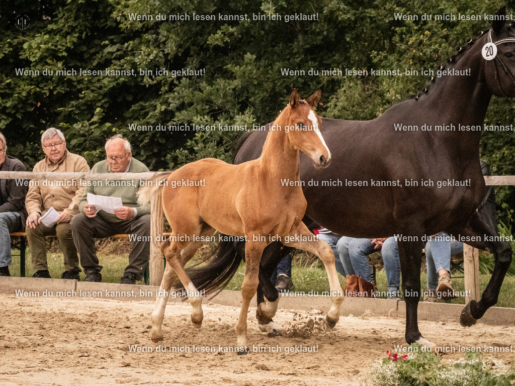 A10I1402 | photographylinaismer - Realisiert mit Pictrs.com