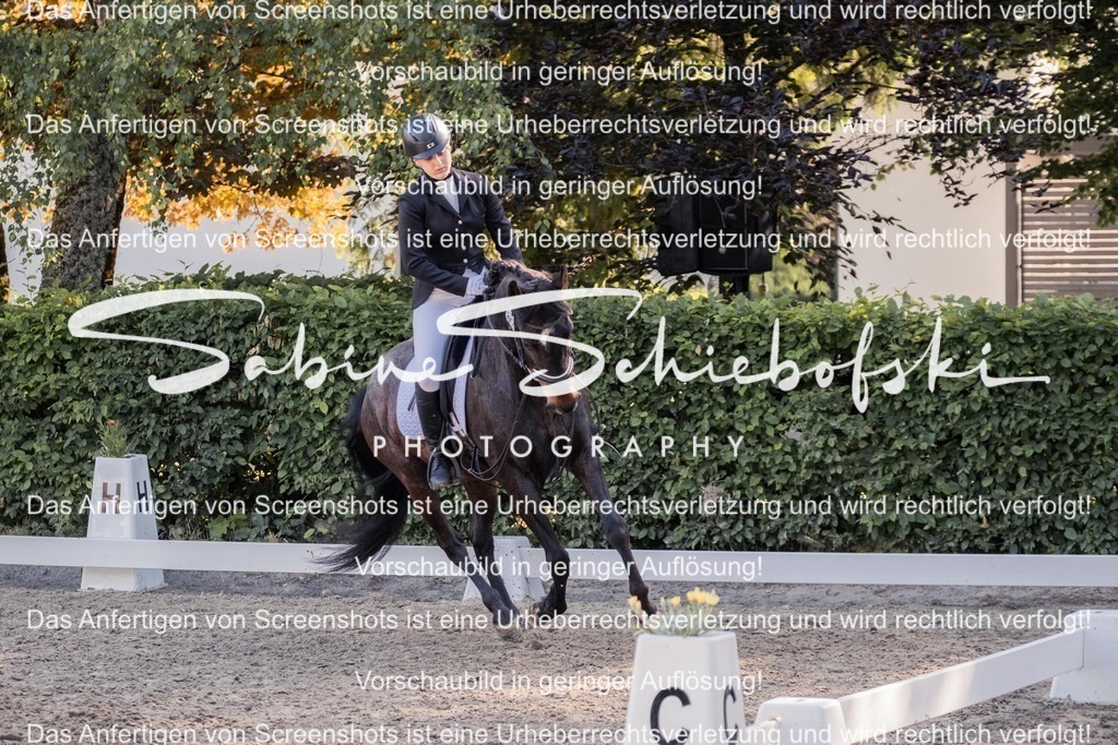 2025_05_31_DSCF2850 | People- und Tierfotografie, Imageaufnahmen, Veranstaltungsfotografie und Wandbilder aus der Natur ★ Made in Germany ✔️ Druck + Downloads ✔️ Naturfotografie in Top Qualität ★ schneller Versand, weltweite Lieferung! - Realisiert mit Pictrs.com