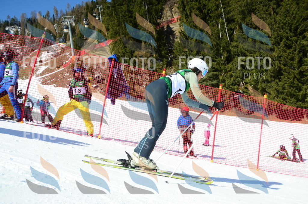 C6222 | holidayphoto