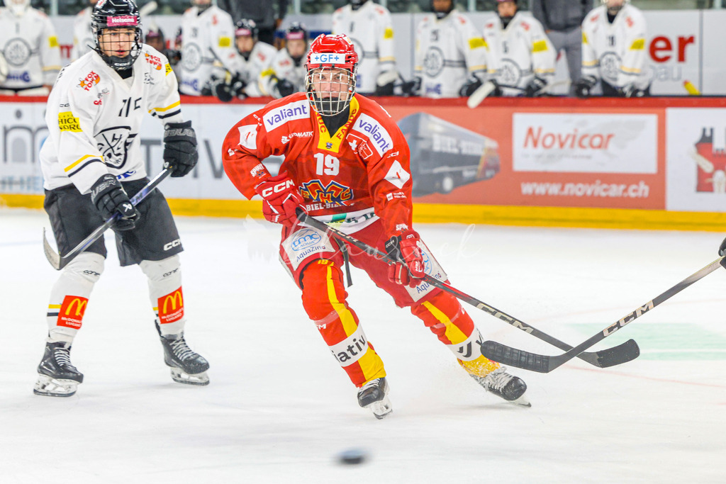 701A3339 | Sportbilder, Sportfotograf, Hochzeits- und Eventfotografin, Flugshows, Portraits und Tiershooting, Aviation, Downhill, Nationalleague, Swissleague, International