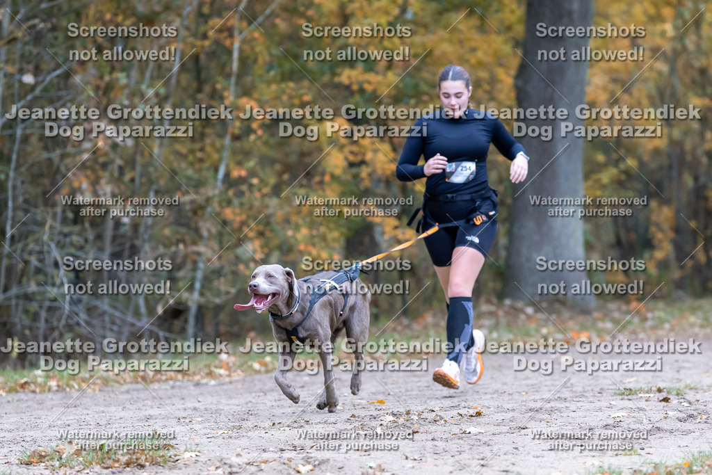 Dog Paparazzi - SD CaniX Championship 2025-526 | Dog Paparazzi Jeanette Grottendiek Fotografie & Videografie - Realisiert mit Pictrs.com