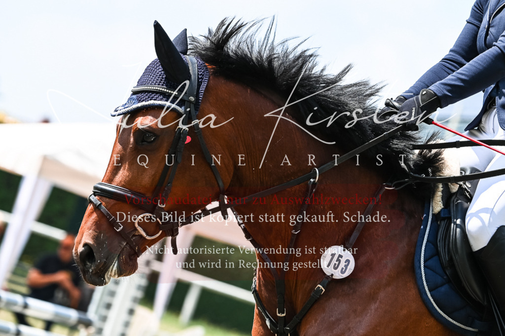 DSC_9343 | Pferde- und Turnierfotografie in Westsachsen. Pferdeportraits, Auftragszeichnungen und intuitive Kunst.