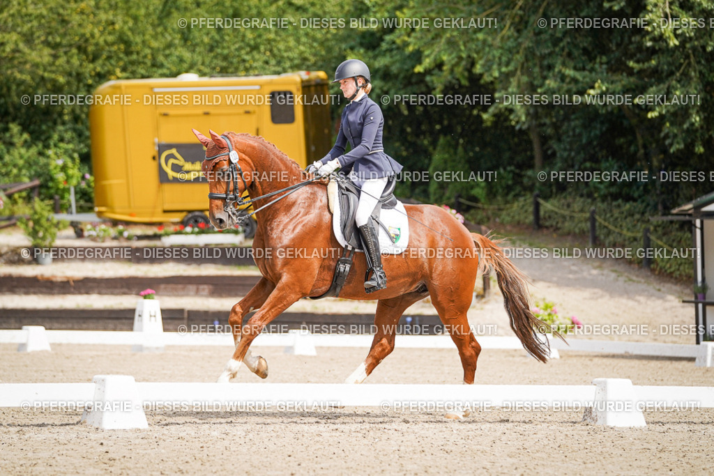 DSC04869 | Pferdegrafie