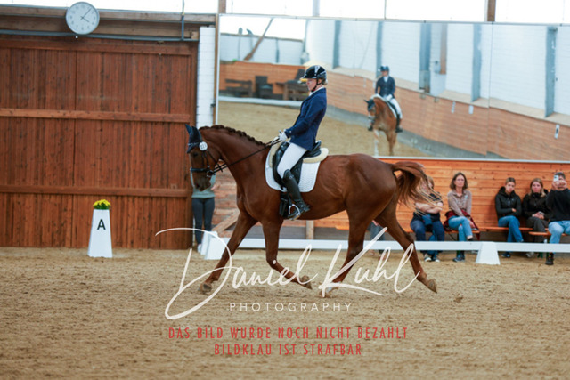 _62_5597 | Turniersportfotografie; Pferdefotografie; Dressurfotografie