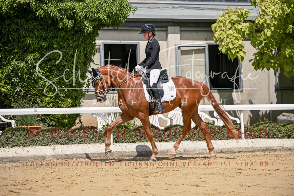 Schugtsche-Aluta25-48.Reitpferfdeprf.-266 | Schugtsche Fotografie - Realisiert mit Pictrs.com