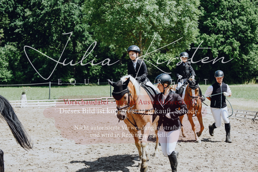 DSC_2606 | Pferde- und Turnierfotografie in Westsachsen. Pferdeportraits, Auftragszeichnungen und intuitive Kunst.