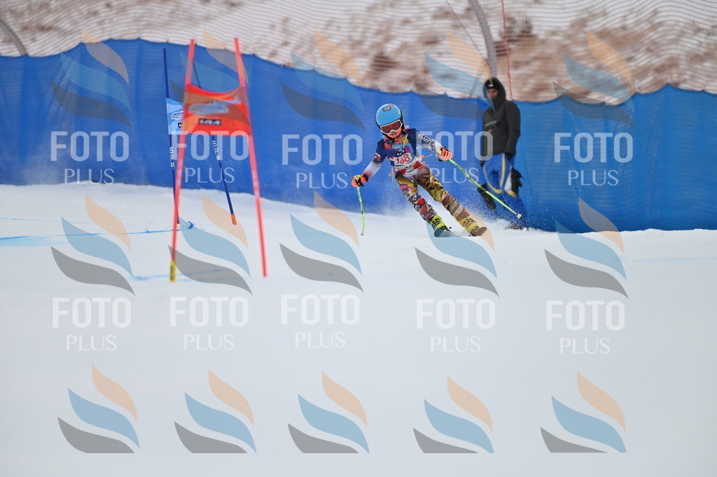 BGV_0448 | holidayphoto