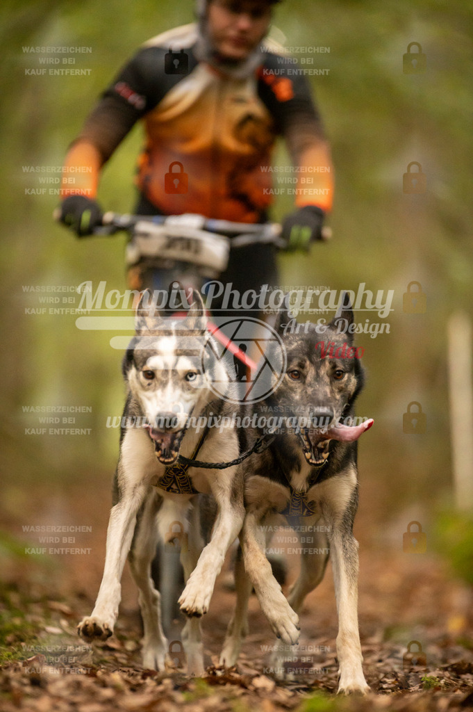 TSB_2023_E1_DS2-24 | mompixphotography