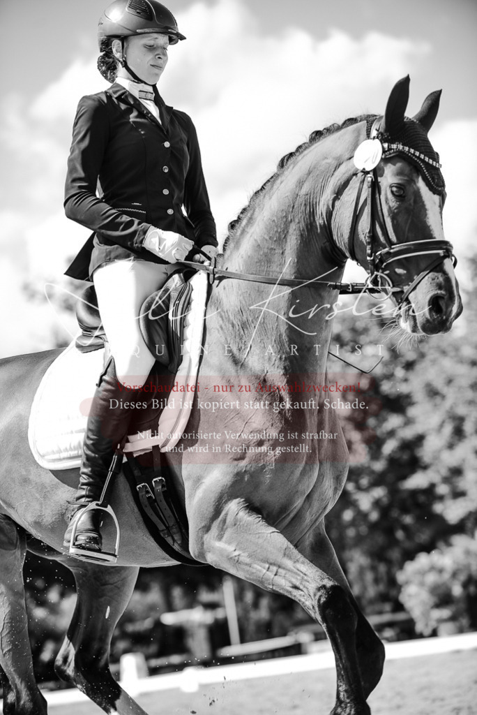 DSC_9497 | Pferde- und Turnierfotografie in Westsachsen. Pferdeportraits, Auftragszeichnungen und intuitive Kunst.