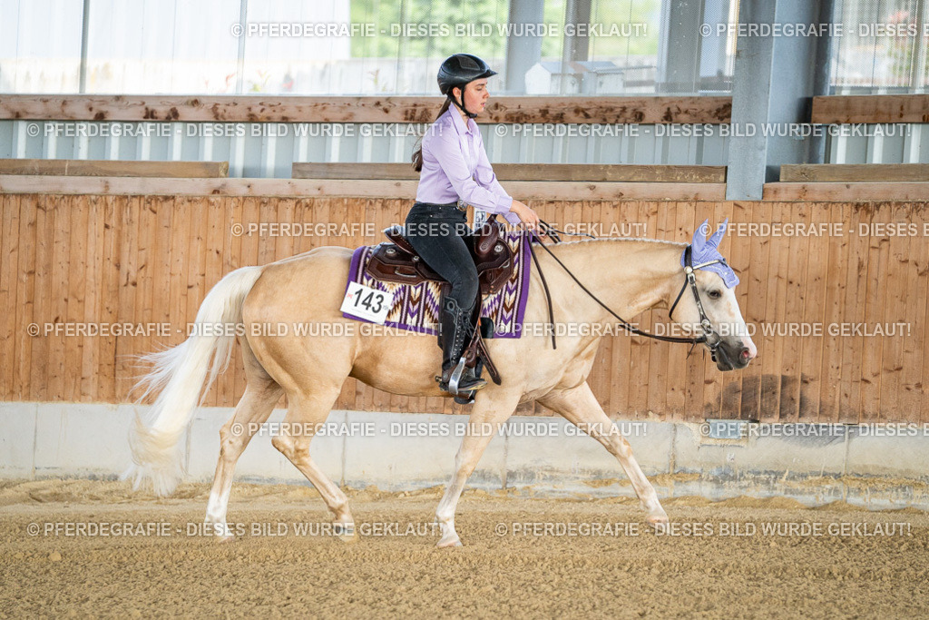 DSC07741 | Pferdegrafie