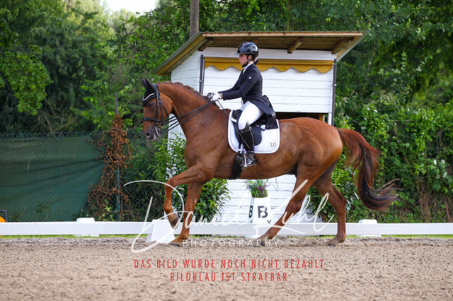 DKP41602 | Turnierfotos kaufen im Webshop von Daniel Kuhl Photography – entdecke professionelle Reitsportfotos aus Turnieren & Events. Hochwertige Turnierbilder online bestellen & sichern. Jetzt Fotos von Reitsportturnieren kaufen!